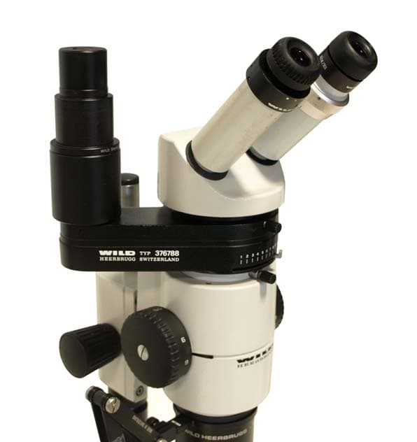 Wild M8 Stereo Microscope