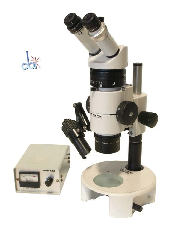 Wild M8 Stereo Microscope