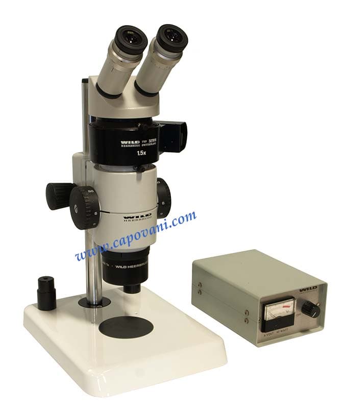 Wild M8 Stereo Microscope