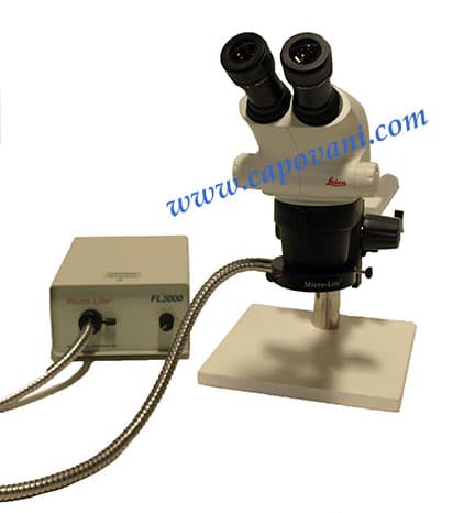 Leica S6 E Stereo Microscope