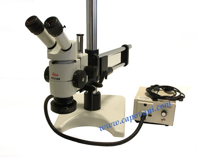 Leica Wild M8 Stereo Microscope