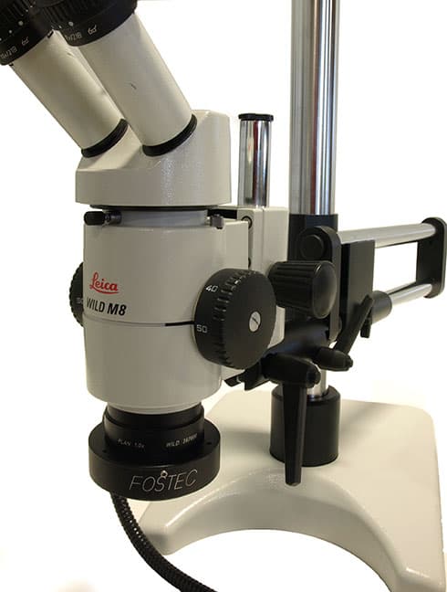 Leica Wild M8 Stereo Microscope