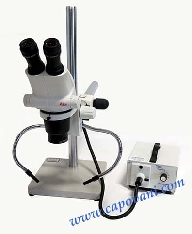 Leica S6 E Stereo Microscope with Boom Stand