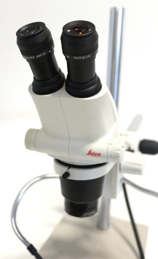 Leica S6 E Stereo Microscope with Boom Stand