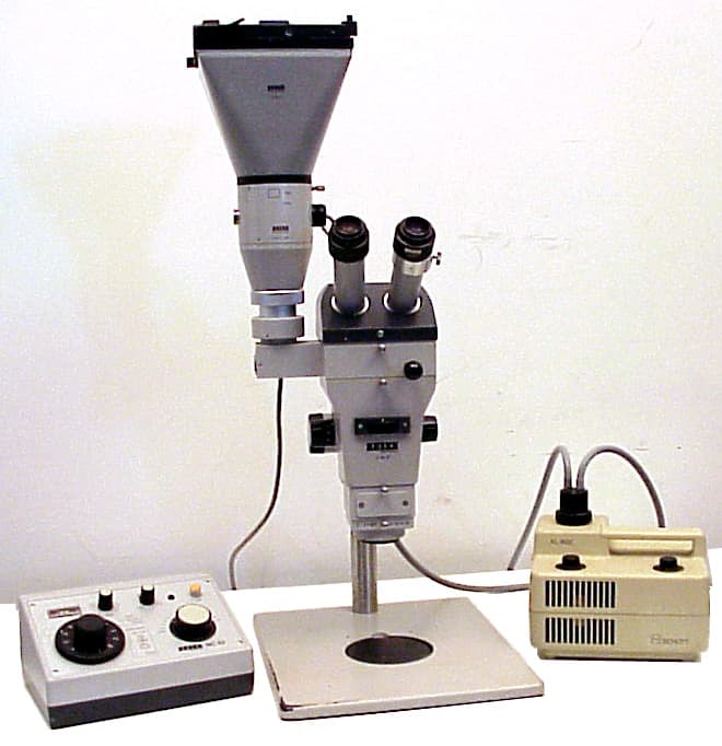 Zeiss STEMI SV8 Stereo Microscope