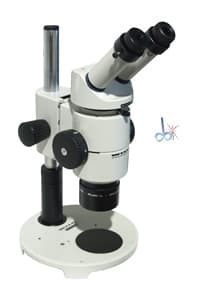 Wild M8 Wild M8 Stereo Microscope