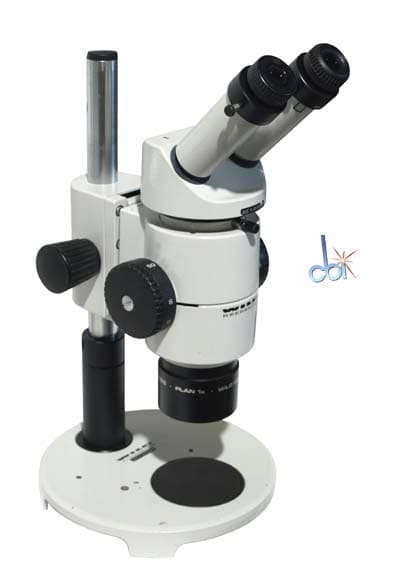 Wild M8 Stereo Microscope