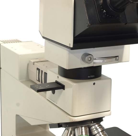 Leitz Ergolux Upright Microscope