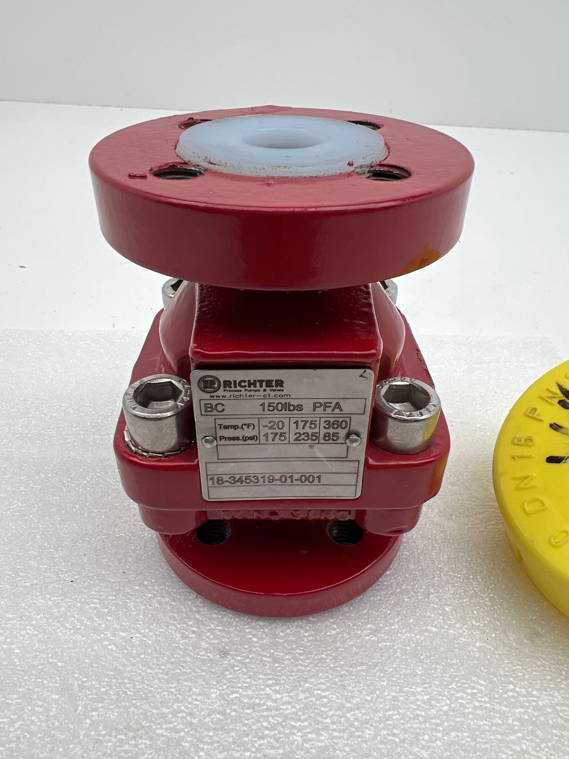 Richter 18-345319-01-001 3/4" PFA Lined Solid PTFE Ball Check Valve