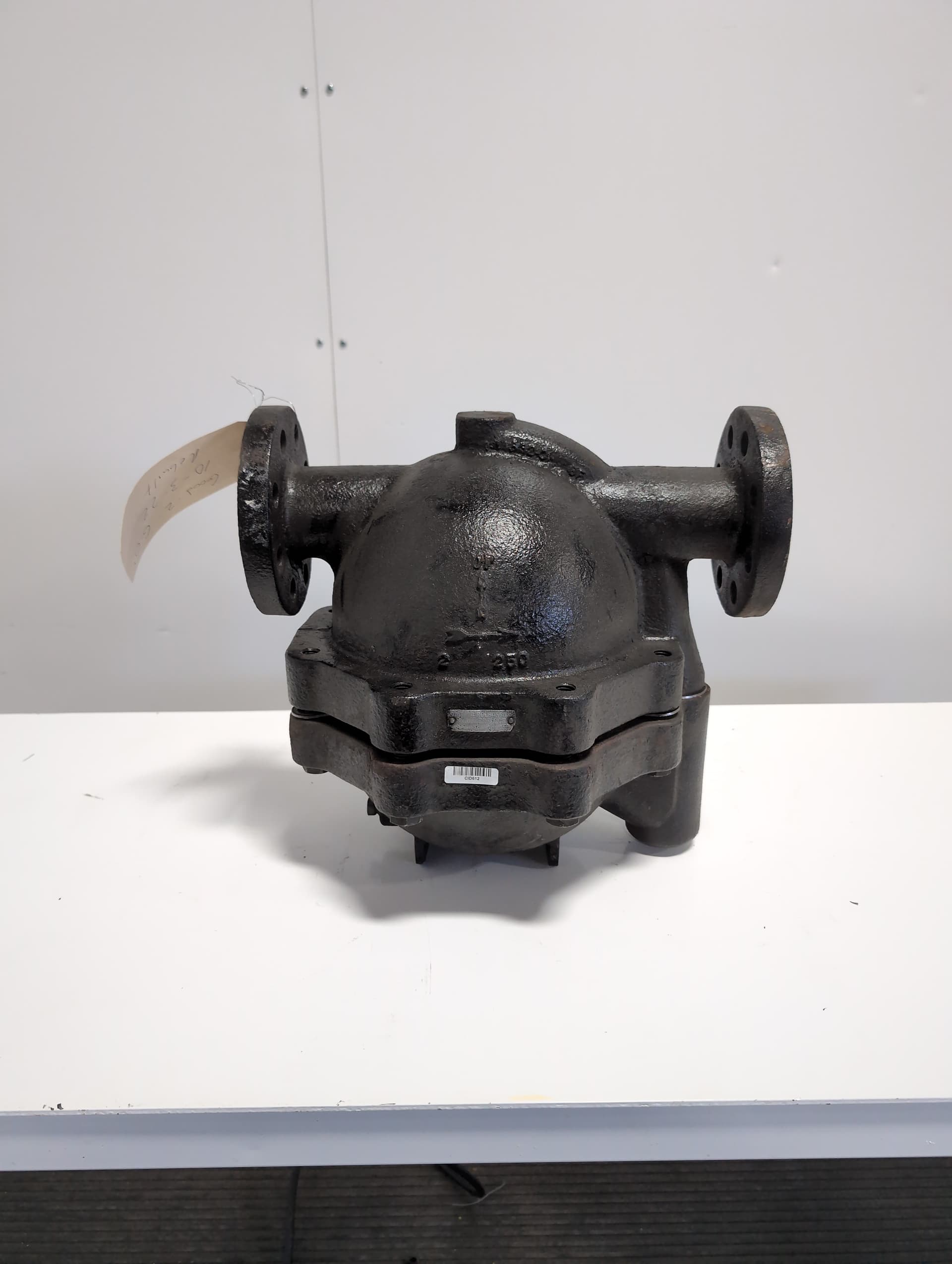 Nicholson NFT 253 Variable Orifice Super High flow Steam Trap, 2", 250 PSI, 450F