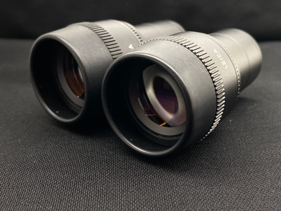 Leica L Plan 10x/25 M Microscope Eyepiece Pair