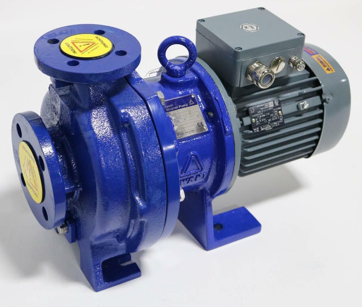 Iwaki MDM25-1301EKKF015I-E2 Magnetic Pump