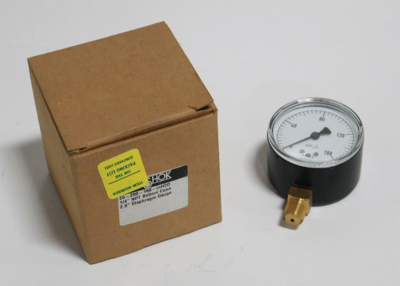 Noshok 25-200-160-InH2O 25-200-160-In H2O Gauge