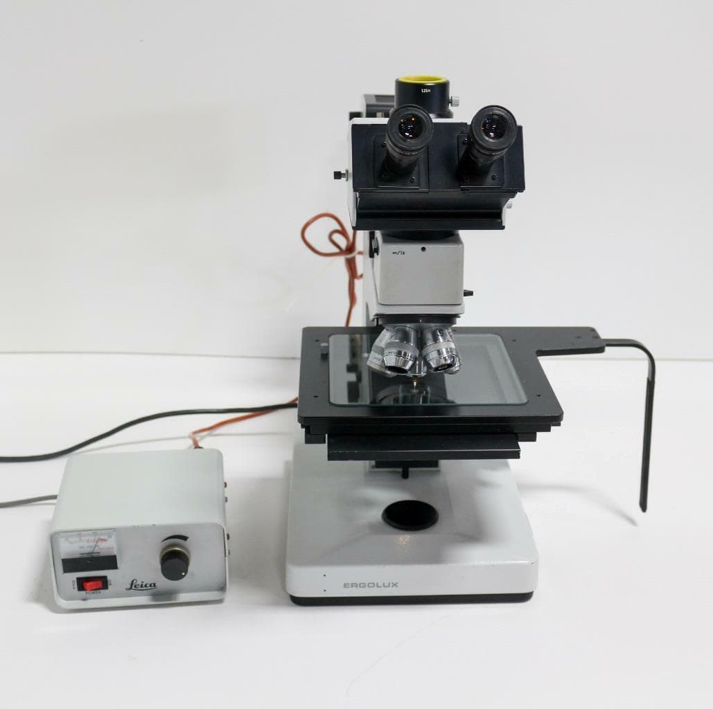 Ernst Leitz Wetzlar GMBH Ergolux Type 020-448.025 Tilting Trinocular Microscope