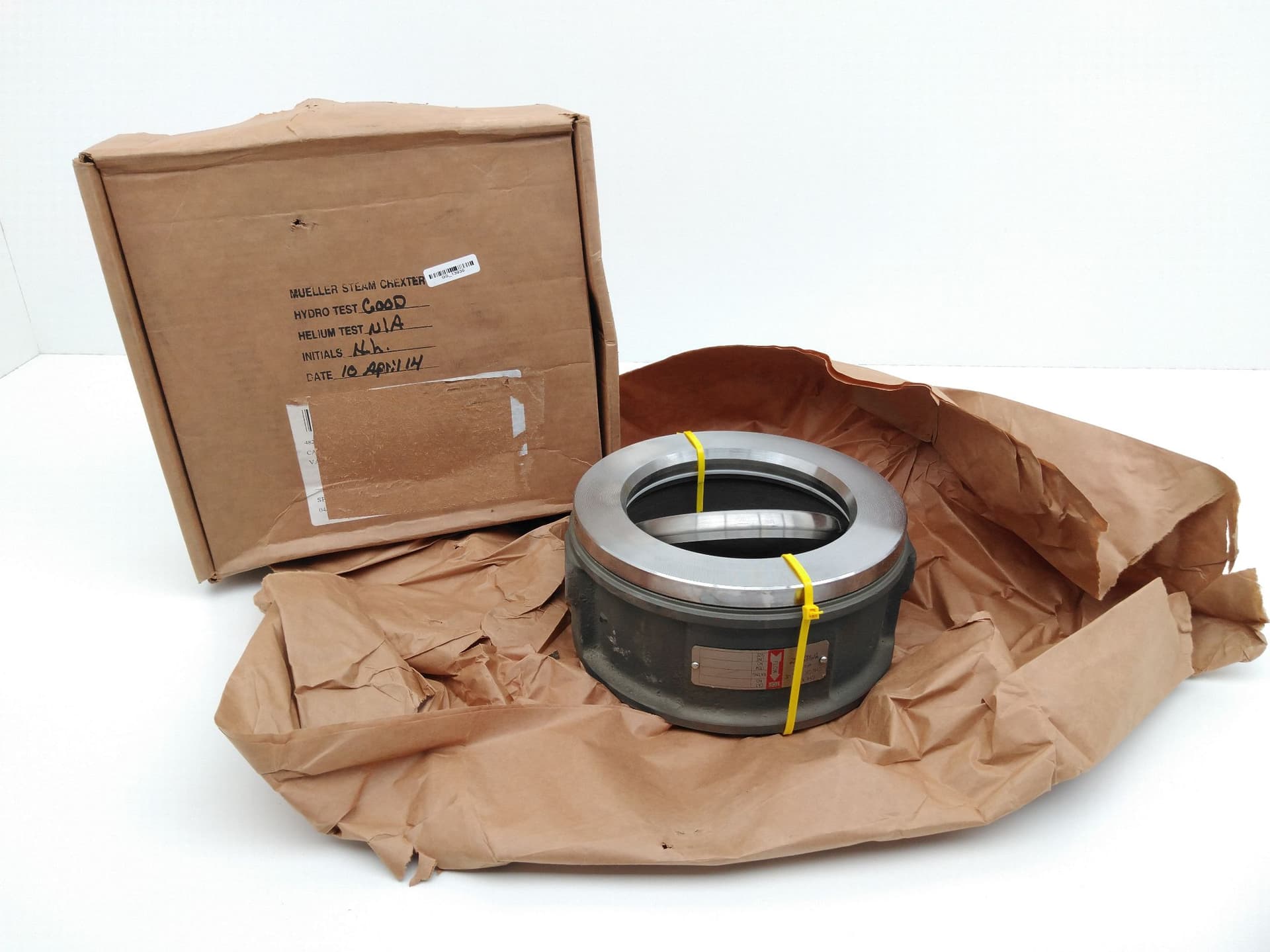 Mueller Steam Specialty -Watts 1601 AC M6708343 Check valve, 6" Class 150